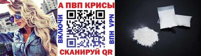 Альфа ПВП СК КРИС  OMG   Пятигорск 