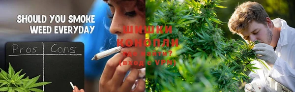 шишки Богданович