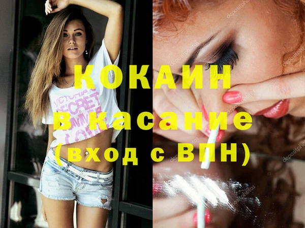 дмт Шали