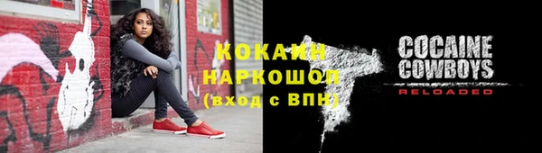 прущие грибы Аркадак
