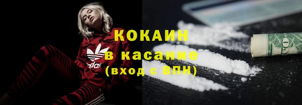 шишки Богданович