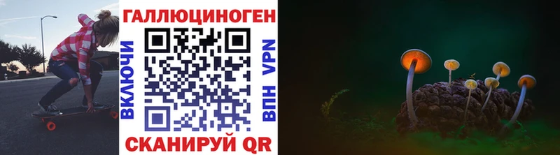 Псилоцибиновые грибы Psilocybine cubensis Пятигорск